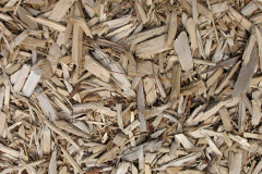 biomass boilers Bennacott